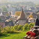 Zum Rebstock Malterdingen