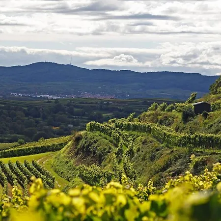 Szálloda Zum Rebstock 3*