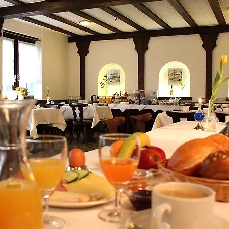 Zum Rebstock 酒店 3*