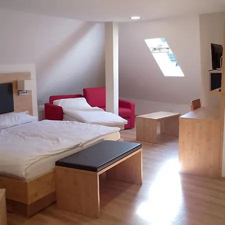 Zum Rebstock Hotel 3*