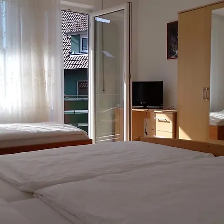 酒店 Zum Rebstock 3*