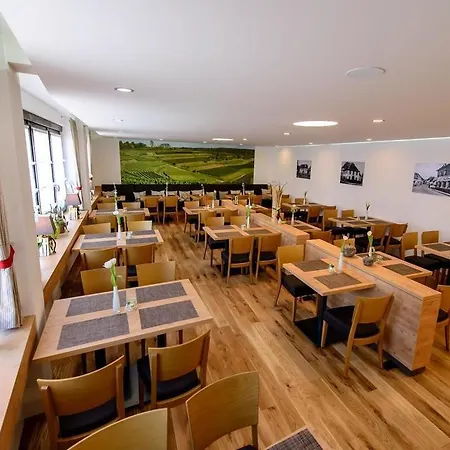 酒店 Zum Rebstock 3*