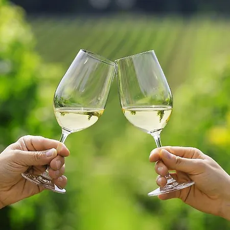 Zum Rebstock 3* Malterdingen